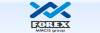 FOREX MMCIS group