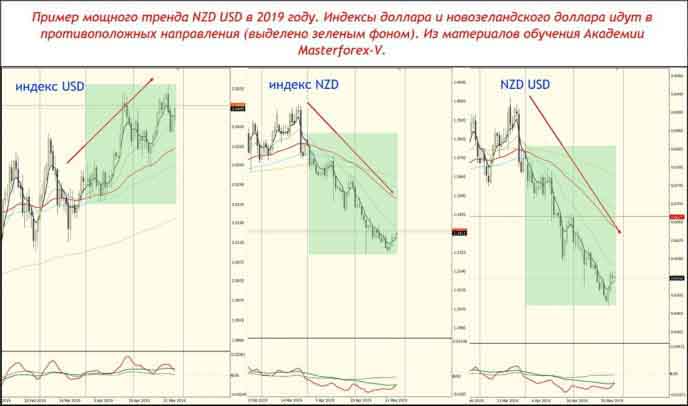 Пример мощного тренда NZD USD в 2019 году