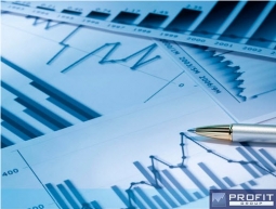 PROFIT Group