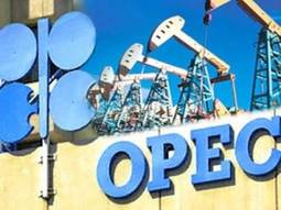 Нефть: ОПЕК ожидает роста потребления нефти в 2014 году