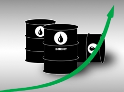 фьючерс нефти