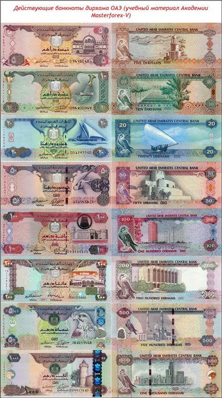 Банкноты дирхама ОАЭ