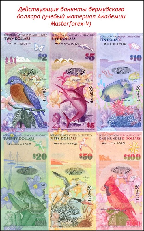 Банкноты бермудского доллара