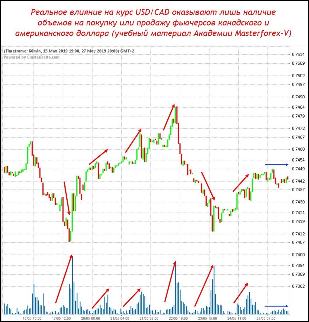 прогноз usd cad на сегодня