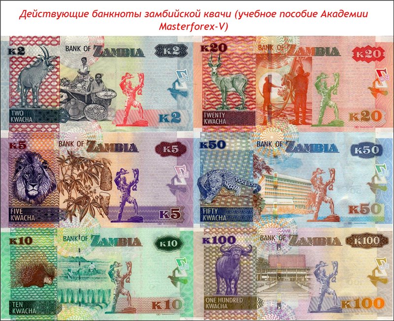 Как называли купюру. Валюта Замбии. Замбийская квача. Банкноты Замбии. Замбийская квача банкноты.