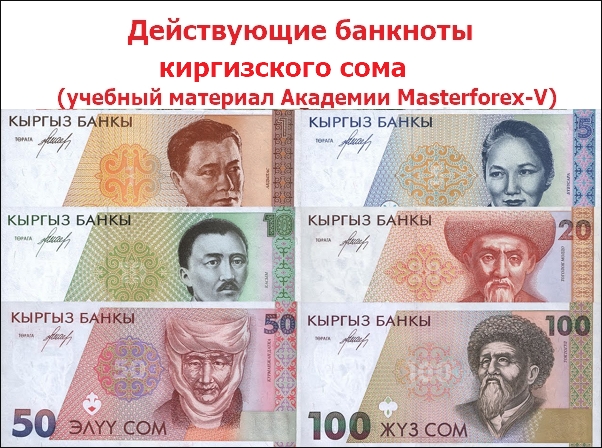 Действующие банкноты киргизского сома