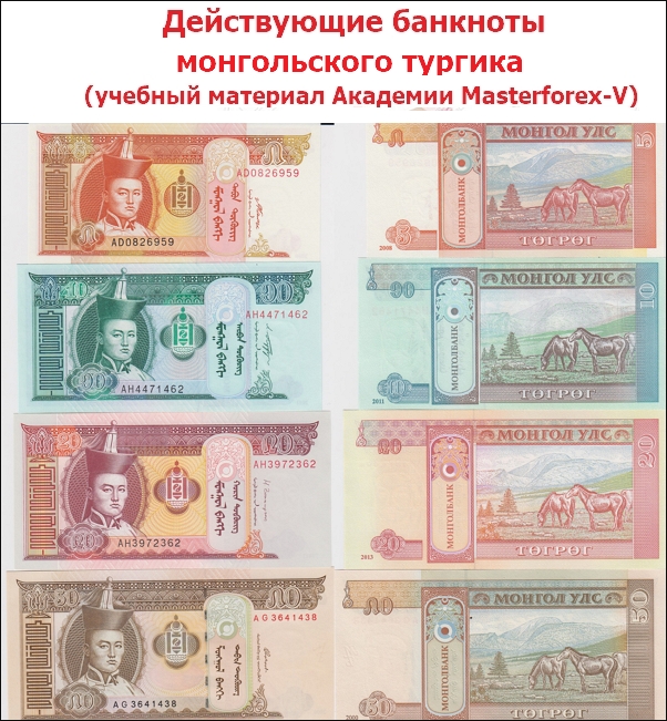 Действующие банкноты монгольского тургика