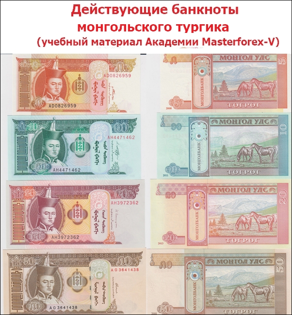 Банкноты монгольского тургика Действующие банкноты монгольского тургика