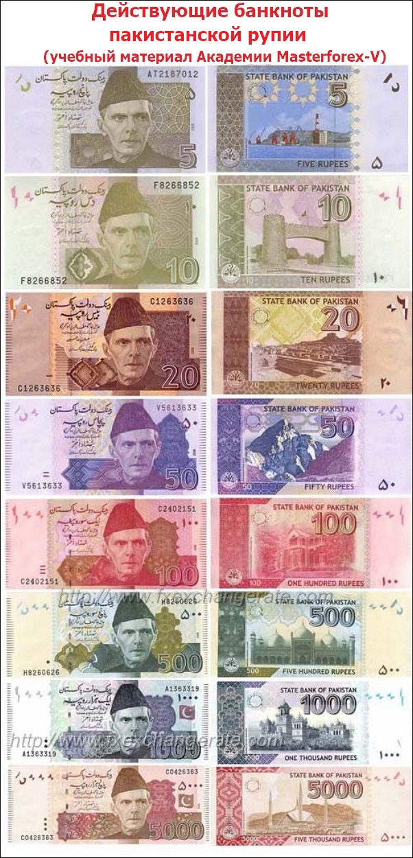 Действующие банкноты пакистанской рупии