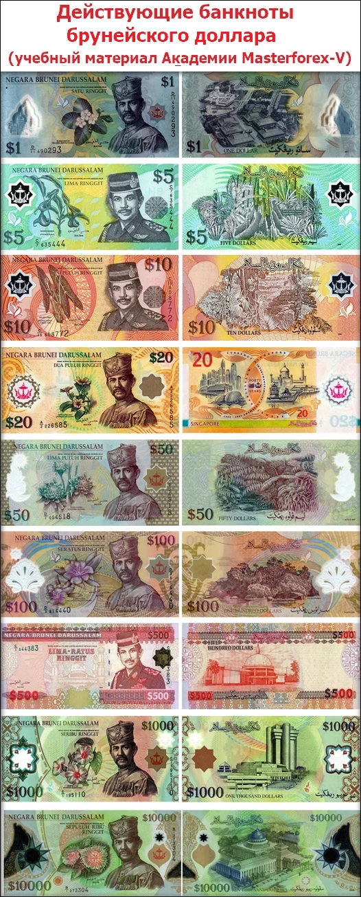 Действующие банкноты брунейского доллара