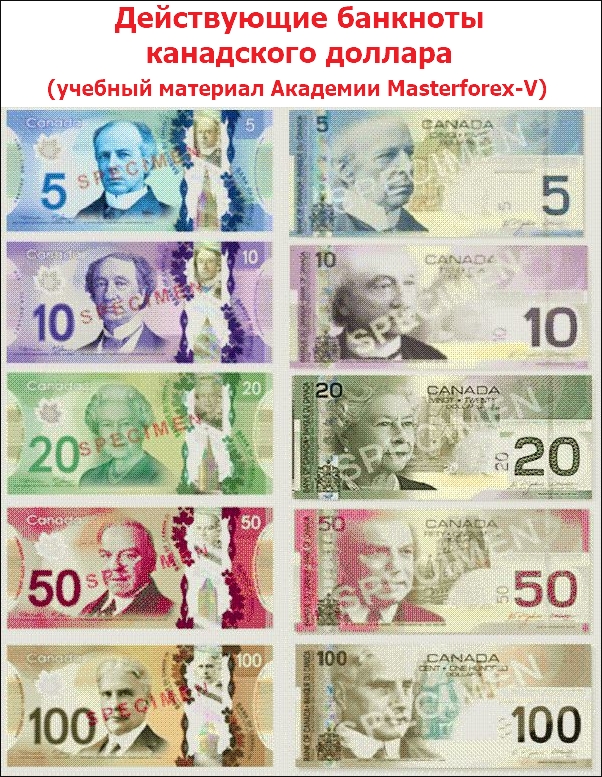 Действующие банкноты канадского доллара