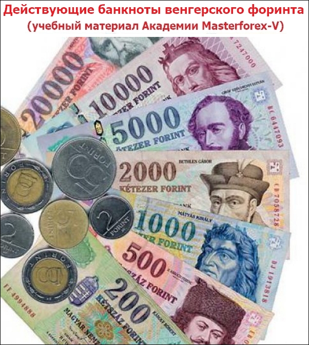 Действующие банкноты венгерского форинта