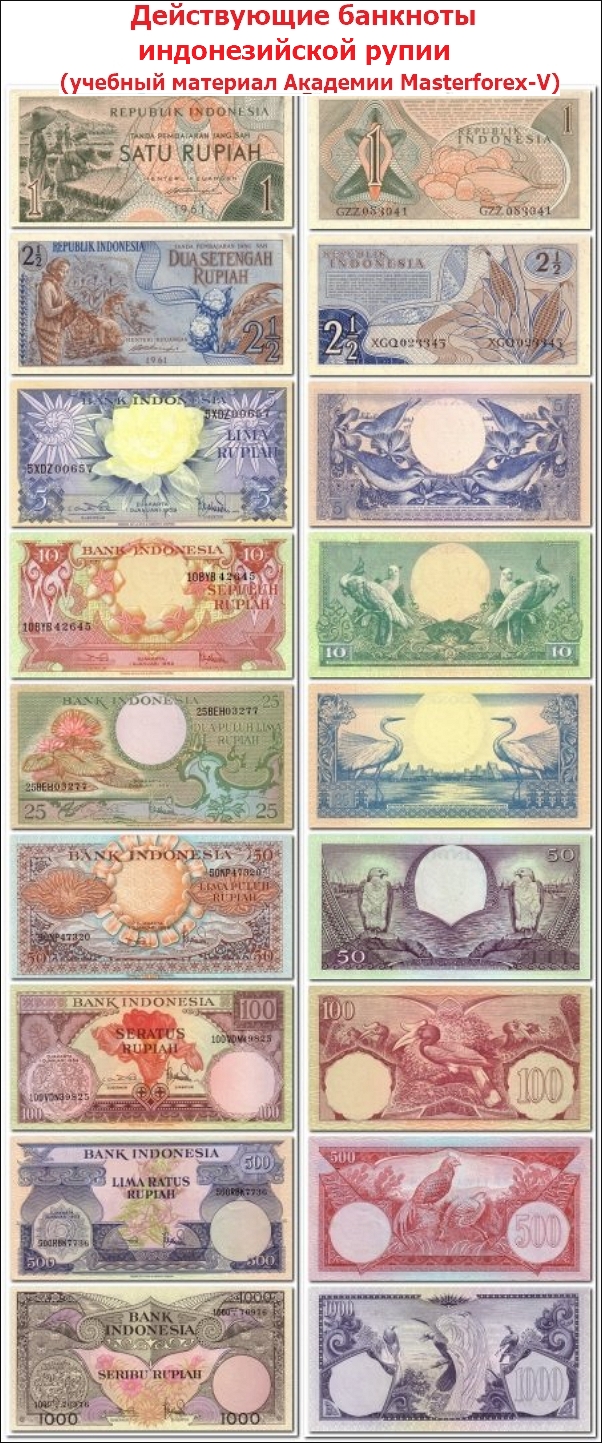 Действующие банкноты индонезийской рупии