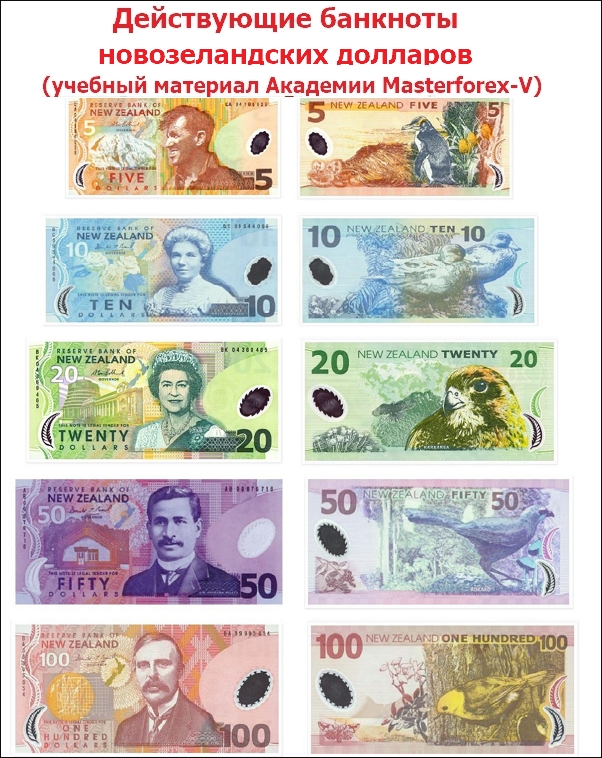 Действующие банкноты новозеландского доллара