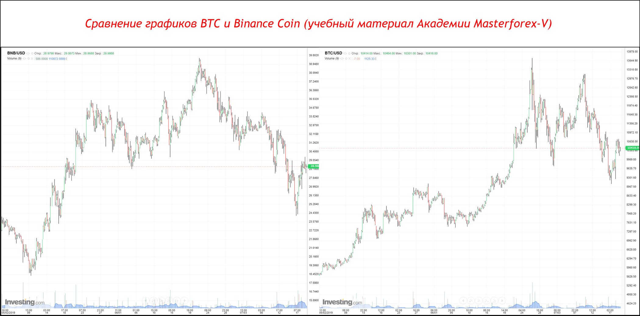 Bnb курс к доллару график profit calculator bitcoin