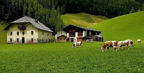 Пастбище в Германии Пастбище в Германии