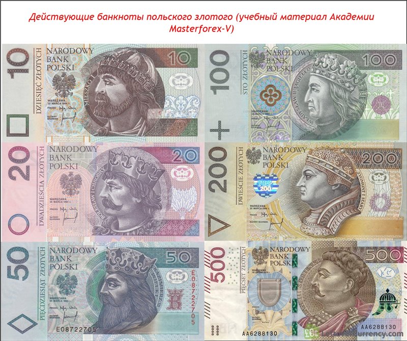 обмен валют польские злотые