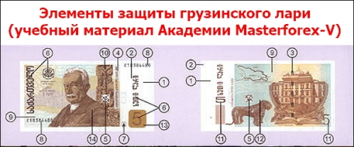 Элементы защиты грузинского лари