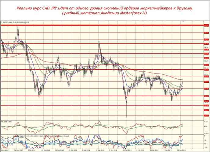 Реальный курс CAD JPY