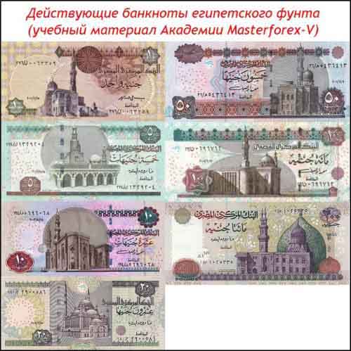 Банкноты египетского фунта
