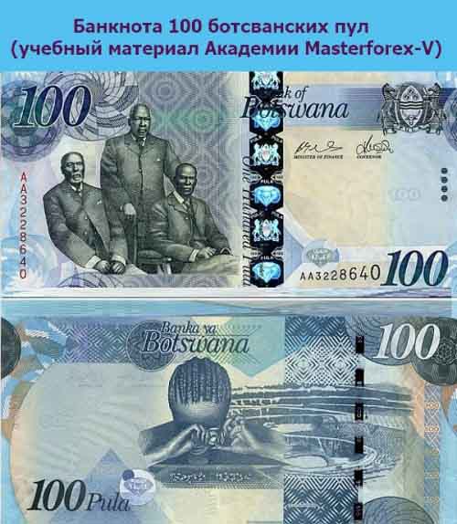 Купюра 100 пул