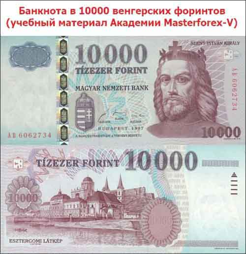 Купюра в 10 000 венгерских форинтов Купюра в 10 000 венгерских форинтов