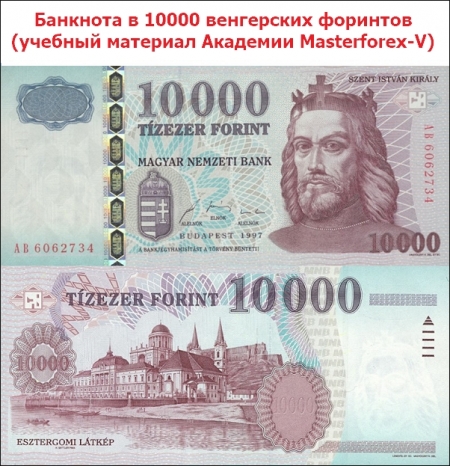 Купюра в 10 000 венгерских форинтов