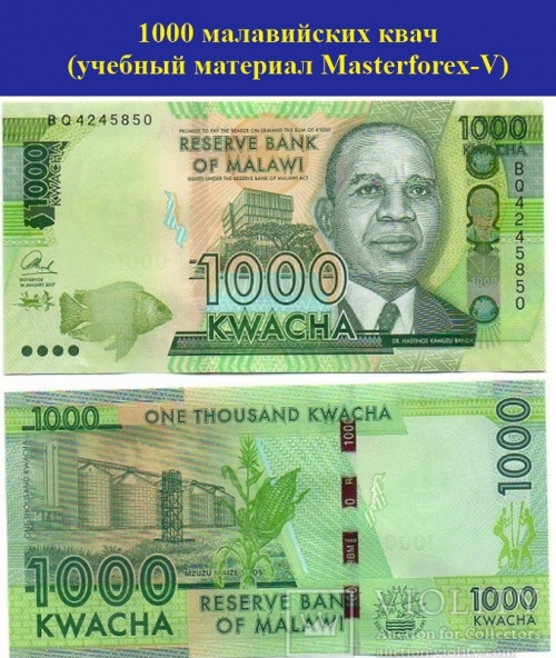 1000 малавийских квач 1000 малавийских квач