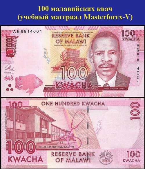 100 малавийских квач 100 малавийских квач