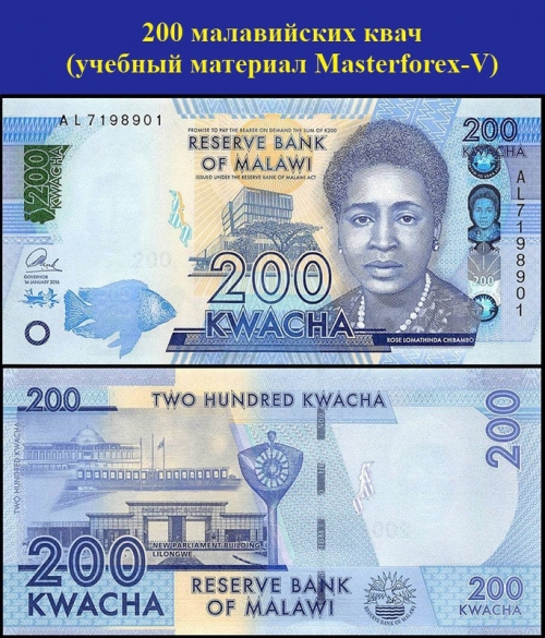200 малавийских квач 200 малавийских квач