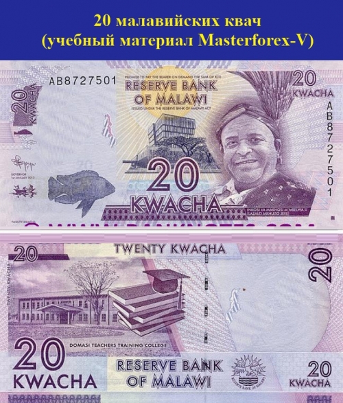 20 малавийских квач 20 малавийских квач