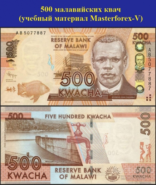 500 малавийских квач 500 малавийских квач