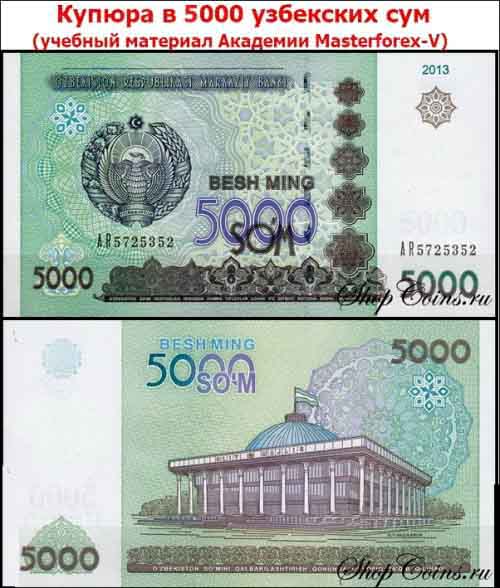 Купюра в 5000 сумов Купюра в 5000 сумов