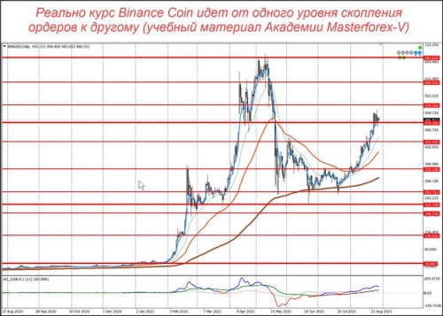 Уровни маркетмейкеров по паре BNB/USD