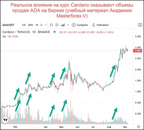 Объемы покупок и продаж ADA