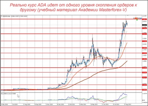 Уровни маркетмейкеров по паре ADA/USD