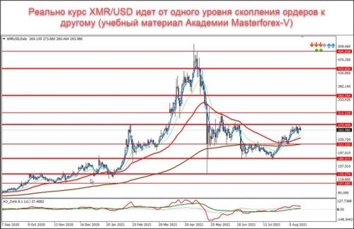 Уровни маркетмейкеров по паре XMR/USD