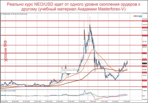 Уровни маркетмейкеров по паре NEO/USD