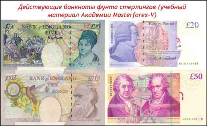 Банкноты фунта стерлингов Действующие банкноты фунта стерлингов