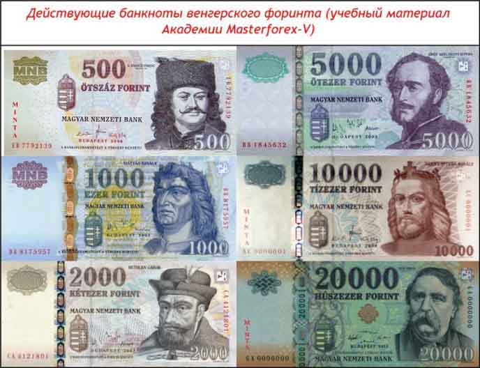 Банкноты венгерского форинта Банкноты