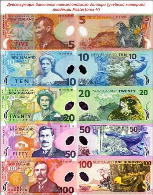 Банкноты новозеландского доллара