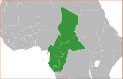 Зона центральноафриканского франка