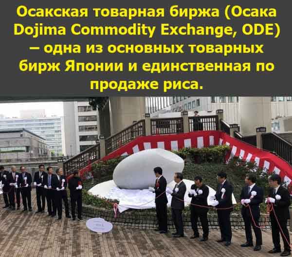 Осакская товарная биржа (Осака Dojima Commodity Exchange, ODE) ODE