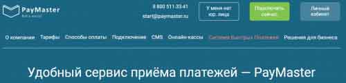 Способы приема платежей в Paymaster