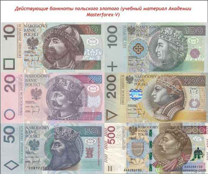Банкноты польского злотого Польский злотый