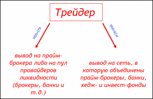 NDD+STP и NDD+ECN