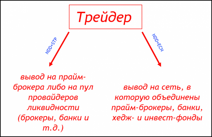NDD+STP и NDD+ECN NDD+STP и NDD+ECN