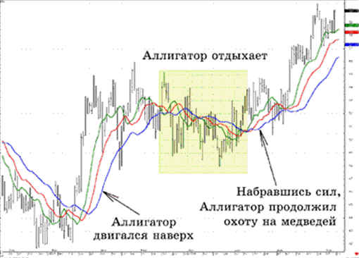 Сделки по сигналам Аллигатора